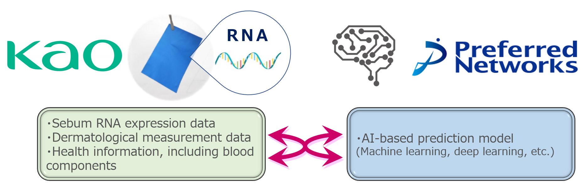 Kao and Preferred Networks Launch a Collaborative Project for Practical Applications of Sebum RNA Monitoring Technology