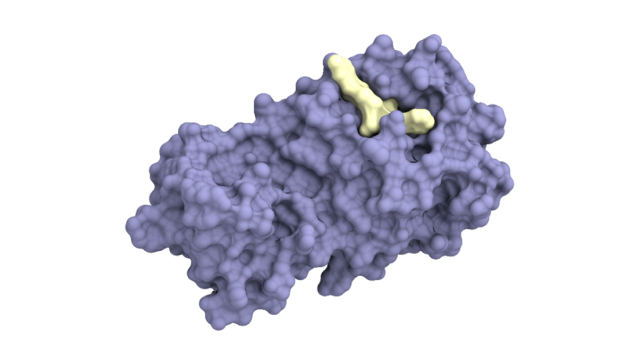 PFN Develops AI Drug Discovery Technology That Accelerates Initial Screening for Pharmaceutical Development